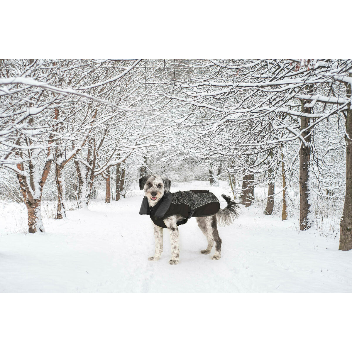 V4H97186A7ED290F109EACCBF9328BE8CAAR5332458P8