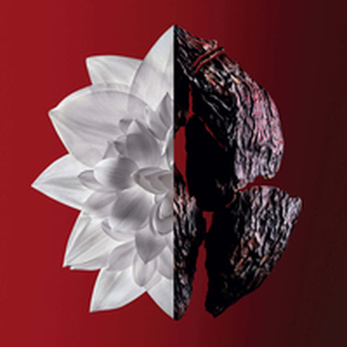 V4H387C84E14902E6D1A2A12F6EF2B47A13R5306329P3