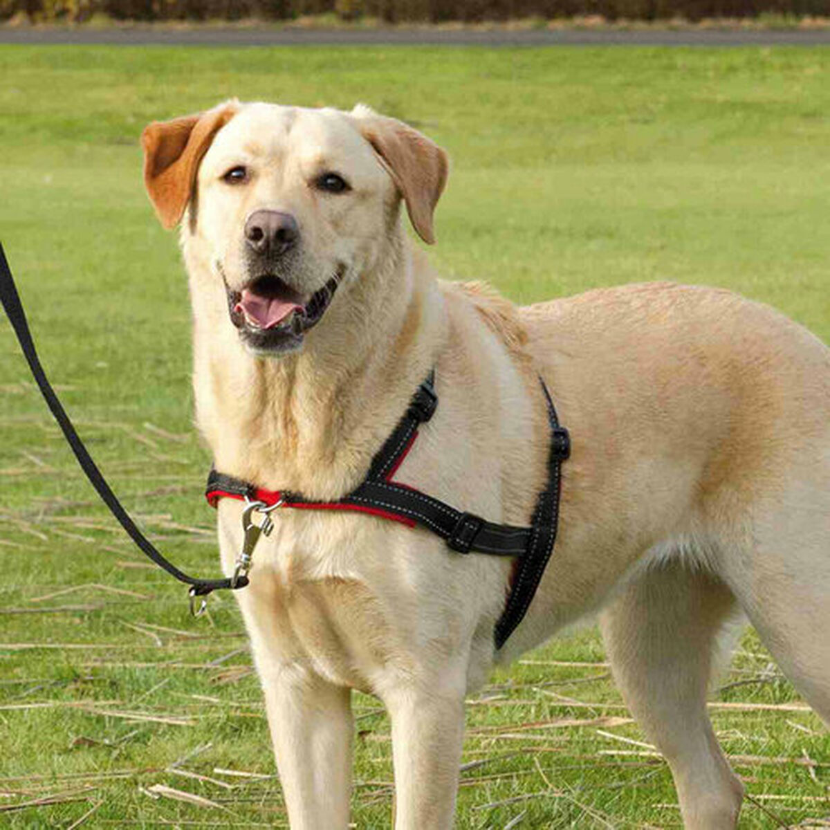 V6HF3BC25B952D3031E4CA075AC7EC650E5R7441908P8