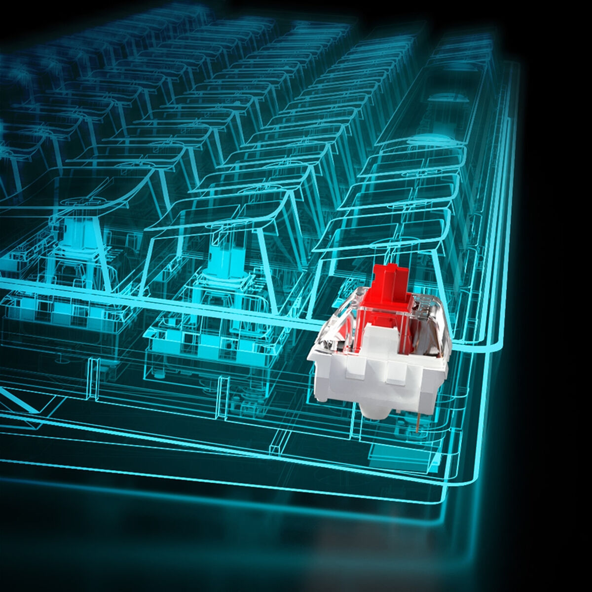 V9HE3E313E0ACC53F45311CBF534B05105DR3493611P4