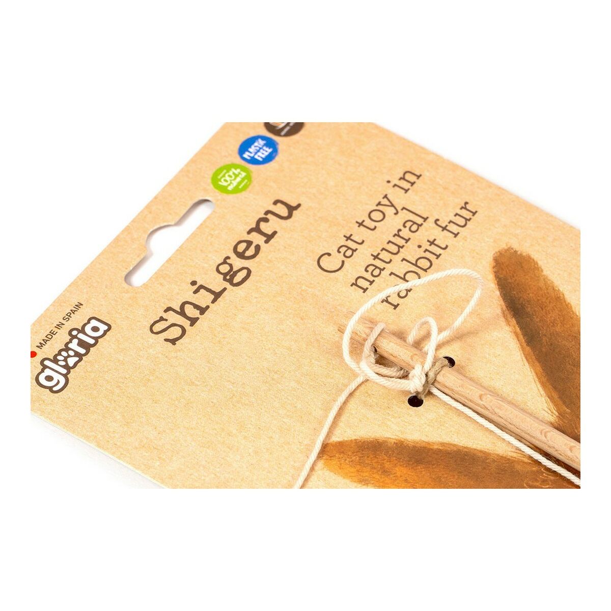 V10H5A15E023407CC496A9C5A2A9AE41FE54R4263183P5