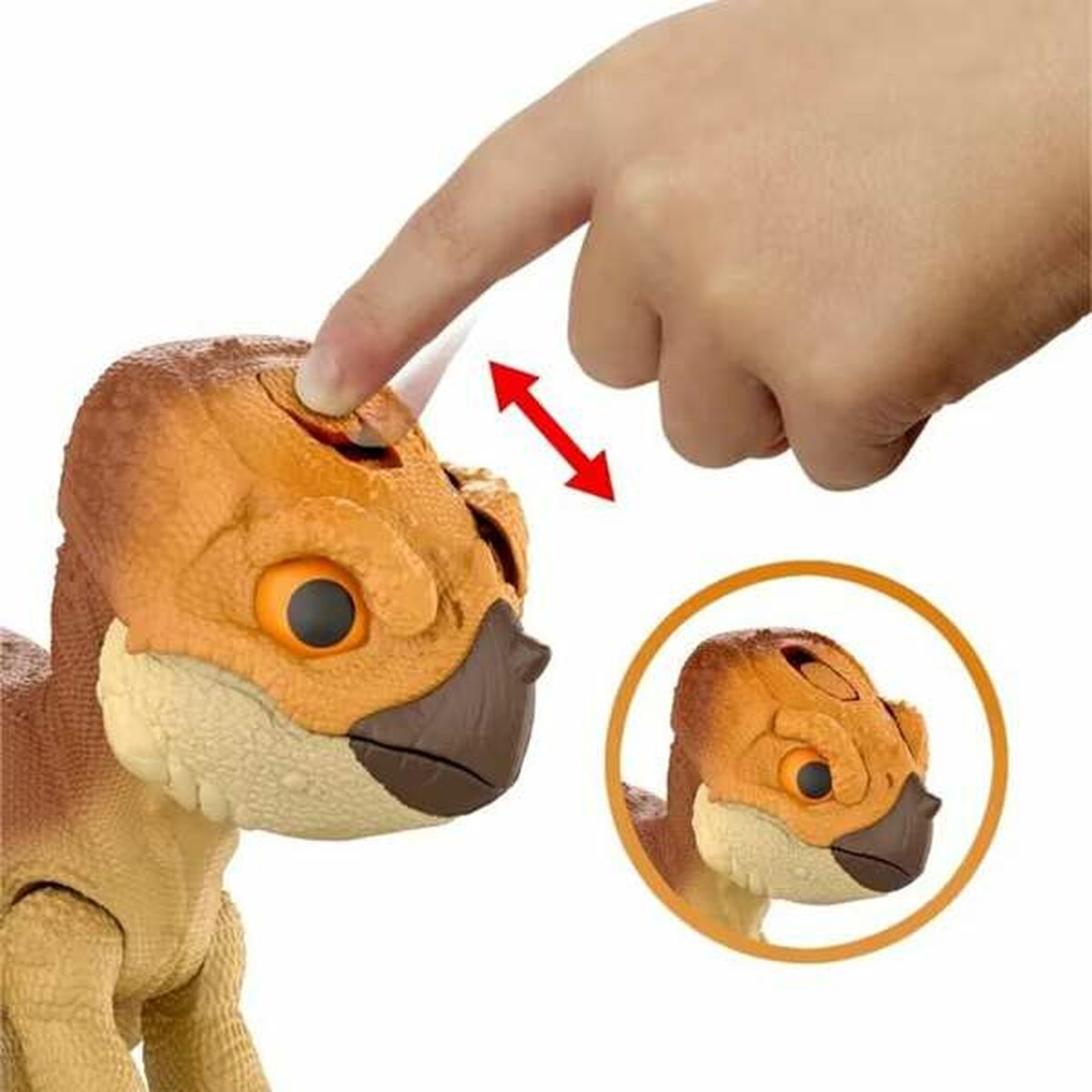 V2HED4BEFEF7C7D06667033DC709A7549F9R6457104P7