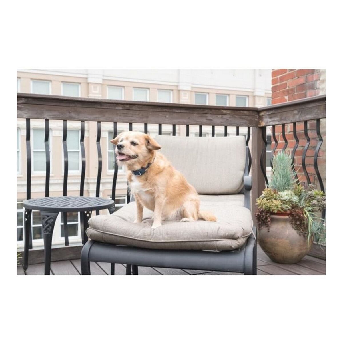 V4H1E0AB993BBFAF4D8C14D9EF7D4B9F63BR5287950P2