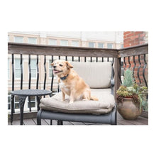 V4H1E0AB993BBFAF4D8C14D9EF7D4B9F63BR5287950P2