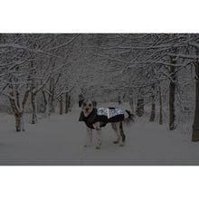 V4H466D8822CFE36BDA144DFD52B82CFE15R5332474P2