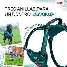 V4HD92681BEB51A15C1082CDC7D81A18DA6R5328489P2