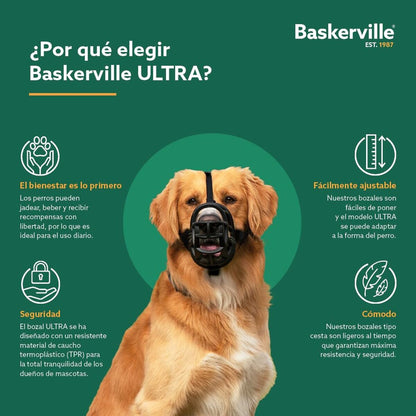 V4H9339020B5EA0CD43521AD5FE4602841CR5327524P7