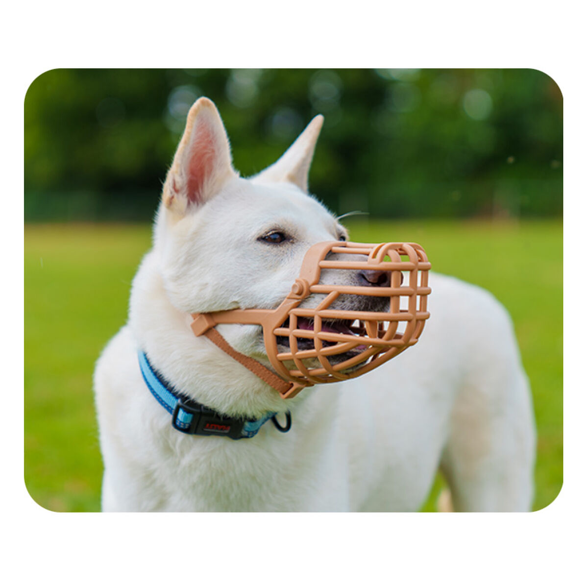 V4H6552DD37A5ACC5BB5EACD7E50F07F0E3R5327597P3