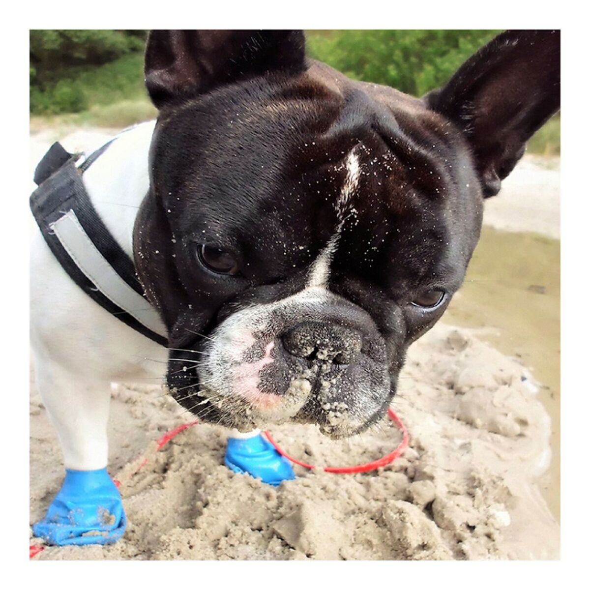 V9H5817F0921E6D1BB228DF026B999CBAFER4986966P5