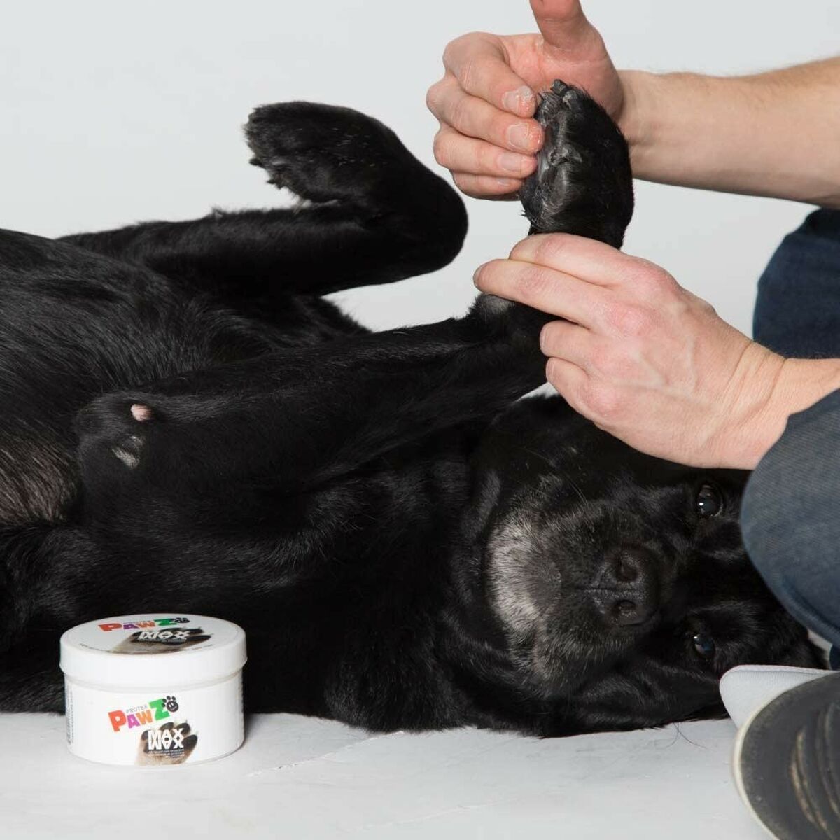 V3HF118DCA89546522789B2CF31AB0A821DR5595054P8