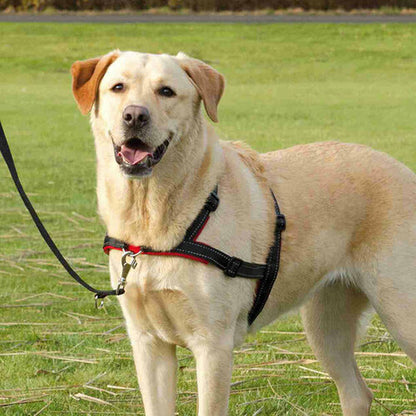 V6H0DCCEF46036F53BDC0AB316BA27FD48ER7441876P8