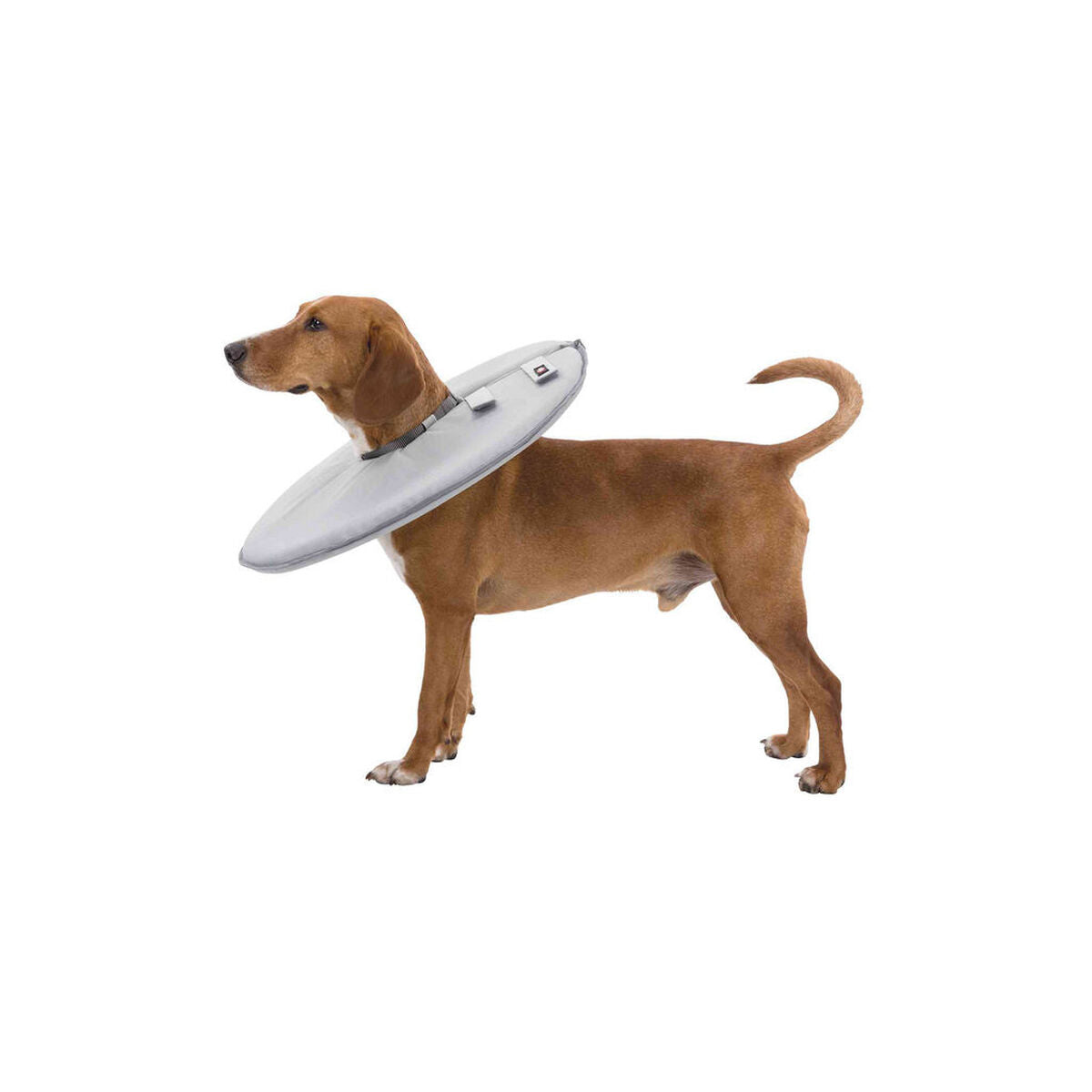 V5HED1926A6889BD4B17561C84B63C50D90R7440169P7