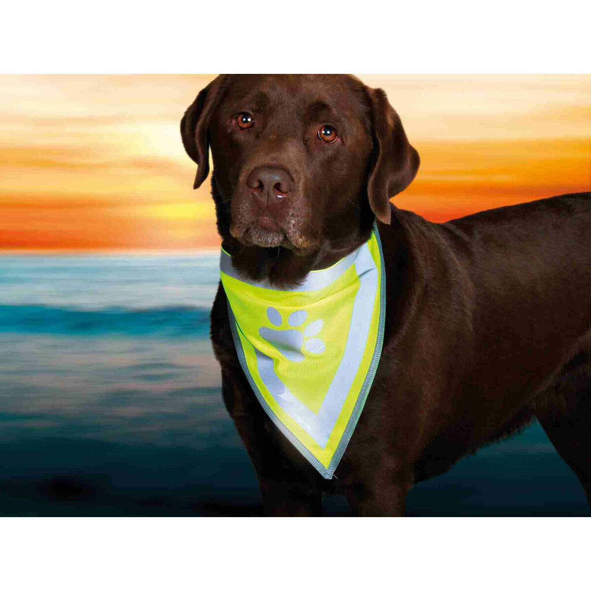 V4H23C76A637C54194B1EA7AE7B040425E4R7440232P5