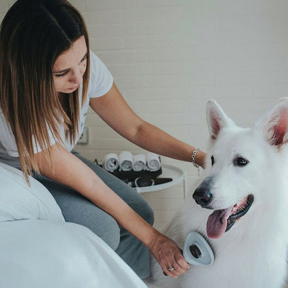 V9H68EAF44D3685C05FBCA0DC267522269ER3618607P2