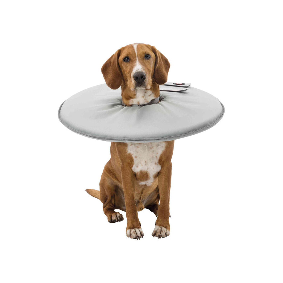 V5H2FCB1BA4717E74B23DF65F74609A8E9AR7440270P9