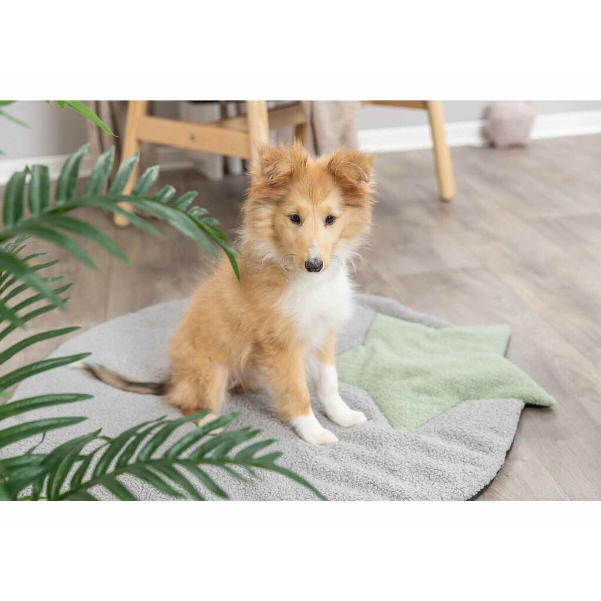 V5H74869939C387AA366913E94B0660EA0DR7446980P9