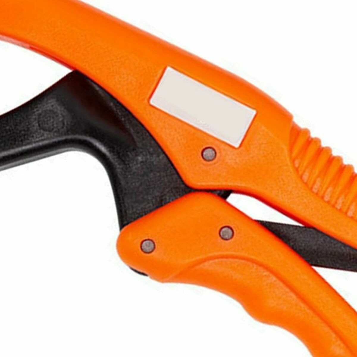 V6H7CF0C09DEDFBBE0A82A1A432D3C69D1FR6506896P6