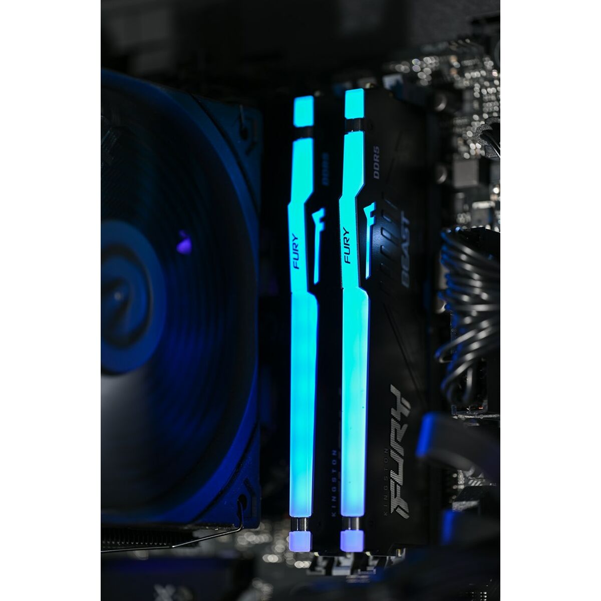 V2H8002FEA3D9B91139CEB4FEDC5D2E736AR5621430P5