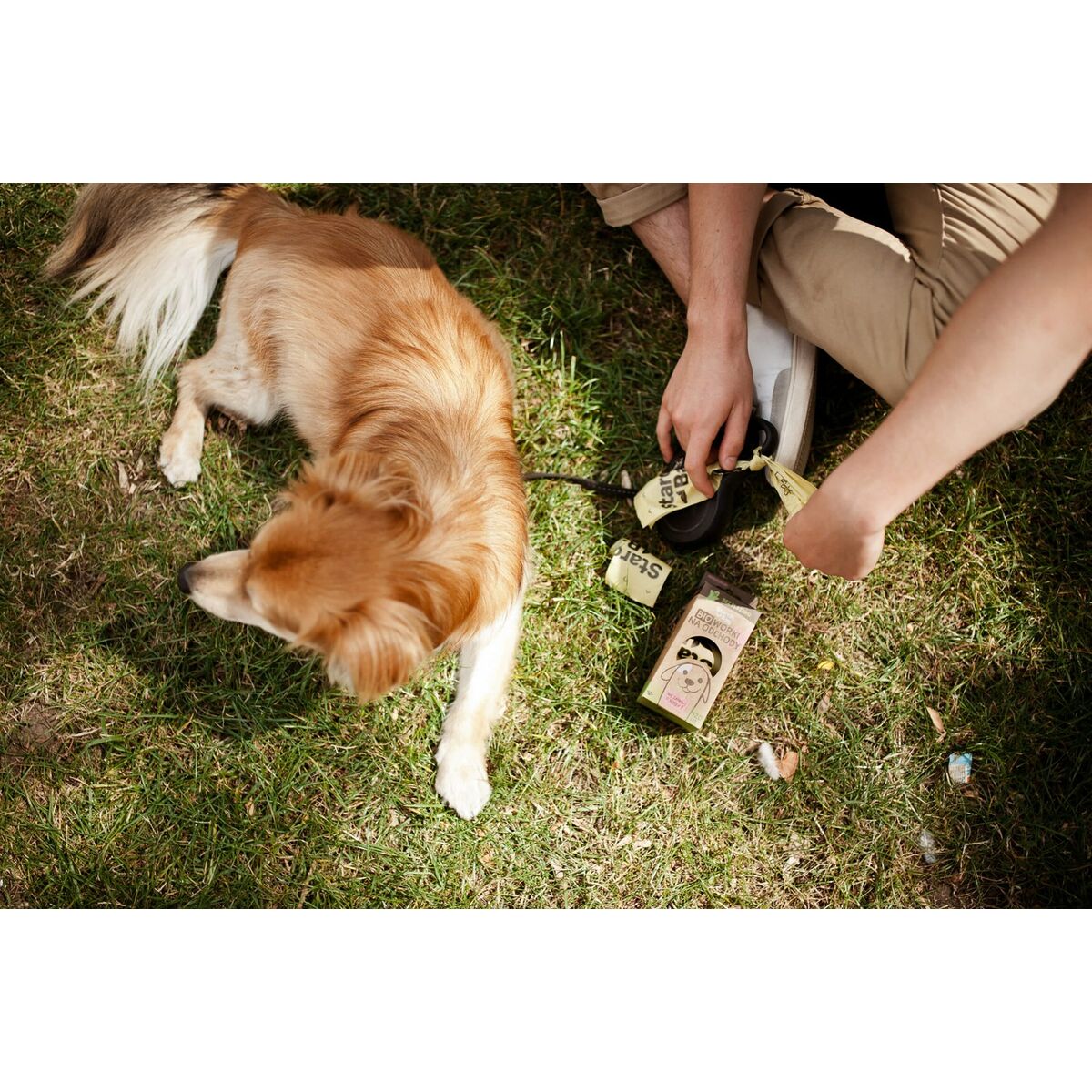 V4H342D90A9E352269B9BE9E57837F0FF85R5301589P8