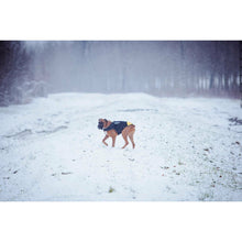 V5H4022C0BBEF08A5F2EFD3802D81FC5343R7445350P2