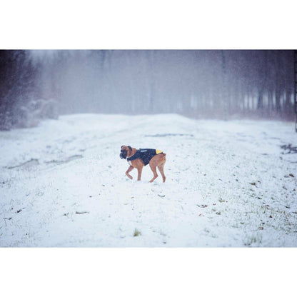 V5H4022C0BBEF08A5F2EFD3802D81FC5343R7445350P2