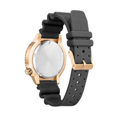 V3HB0FB7A20FC84A6FD3DC596EAC97581BBR5681888P5