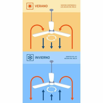 V4H329305C664EE1A00FF9A7237DDED1F07R6813964P2