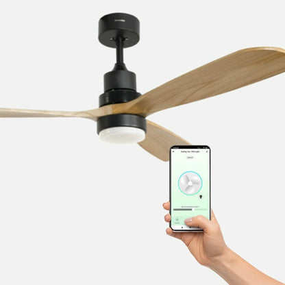 V6H932EEF6C1B2D4ADA1CDCD1B47BD7DC7AR4520126P4