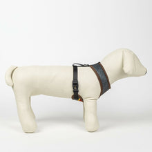 V5H7634CFBE7BDC53E7A4EA2362BC33845AR6466571P2