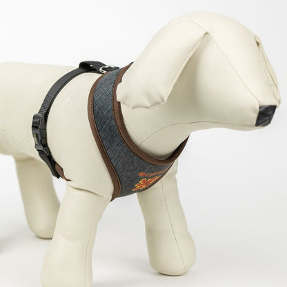 V3H459E4B99DBC141A6334CAE670E41304DR5150358P10