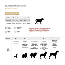 V4HBF46F2E001C66FF94D15A61E3A8B31F8R4555152P2